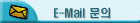 E-mail ¹®ÀÇ